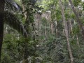 Tn 0504 DSC 5823